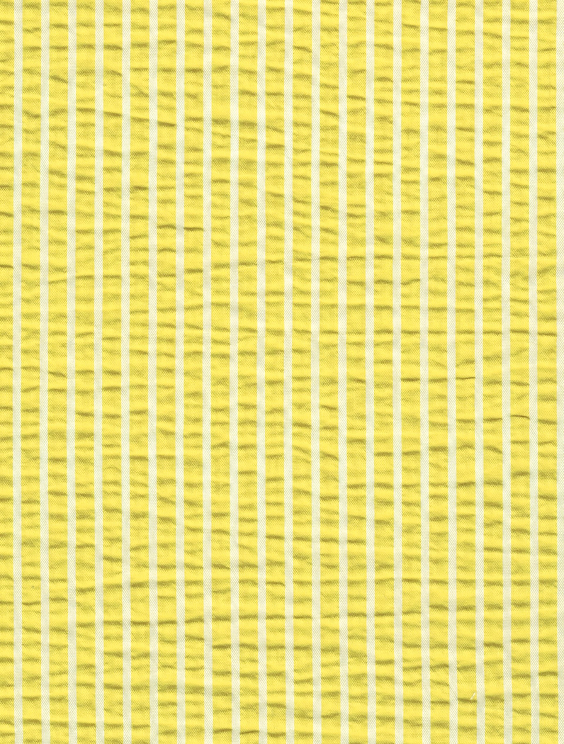Pino zwemshort yellow stripe - Fil Noir